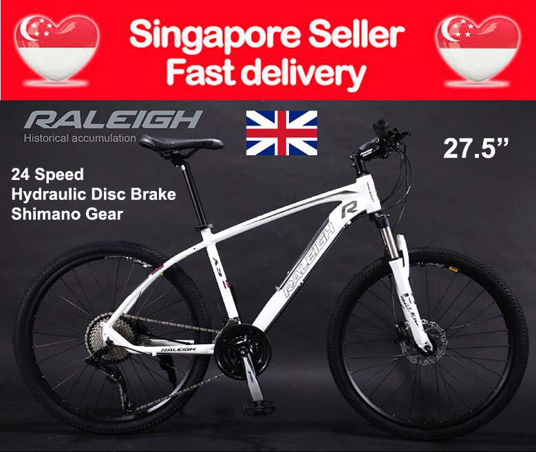 buy raleigh bicycle online