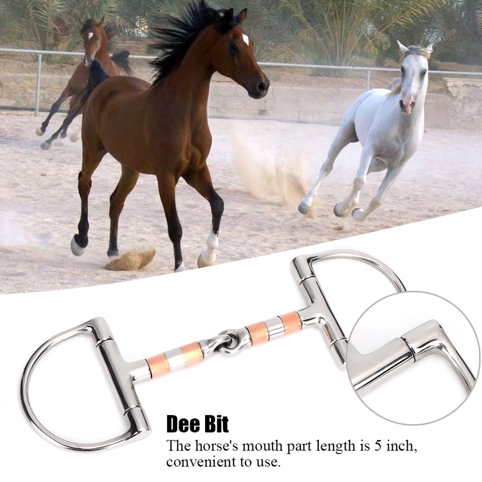 Chung Snaffle Bit Cho Ngựa Thép Không Gỉ Miệng D Vòng Vòng Gag hàm thiếc ngựa hàm thiếc ngựa Đồng Con Lăn Cho Ngựa Cưỡi Ngựa Nguồn Cung Cấp Genericmyvw47exgp