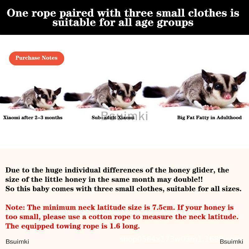 [COD] Bsuimki 4 chiếc Dây đeo ngực thú cưng nhỏ Dây Xích Sóc Chuột hamster dây kéo chống cắn dây lượn đường dây chống gió đặc biệt chống mất