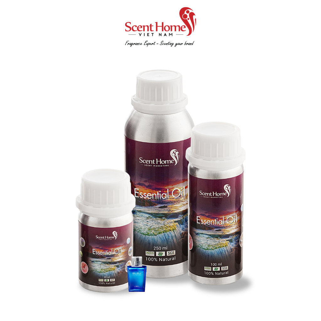 Tinh dầu Scent Homes - mùi hương