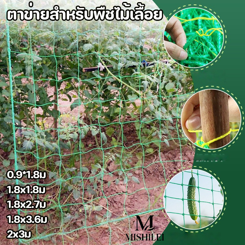 Mishilei ตาข่ายสำหรับพืชไม้เลื้อย ตาข่ายไม้เลือย ตาข่ายปลูกผัก ค้างไม้เลื้อย ค้างผัก โครงไม้เลื้อย อวนแตง ตาข่ายปลูกแตงกวา ราคา 27 บาท*ส่งฟรี