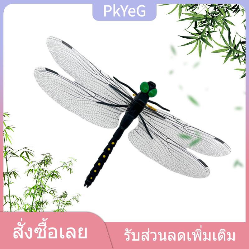 PkYeG เครื่องไล่ยุงกลางแจ้งจำลองแมลงปอตัวใหญ่แท่งสำหรับใส่แมลงปอไล่ยุงแมลงรุ่นของเล่นปีกยาว14ซม. ราคา 22 บาท*ส่งฟรี