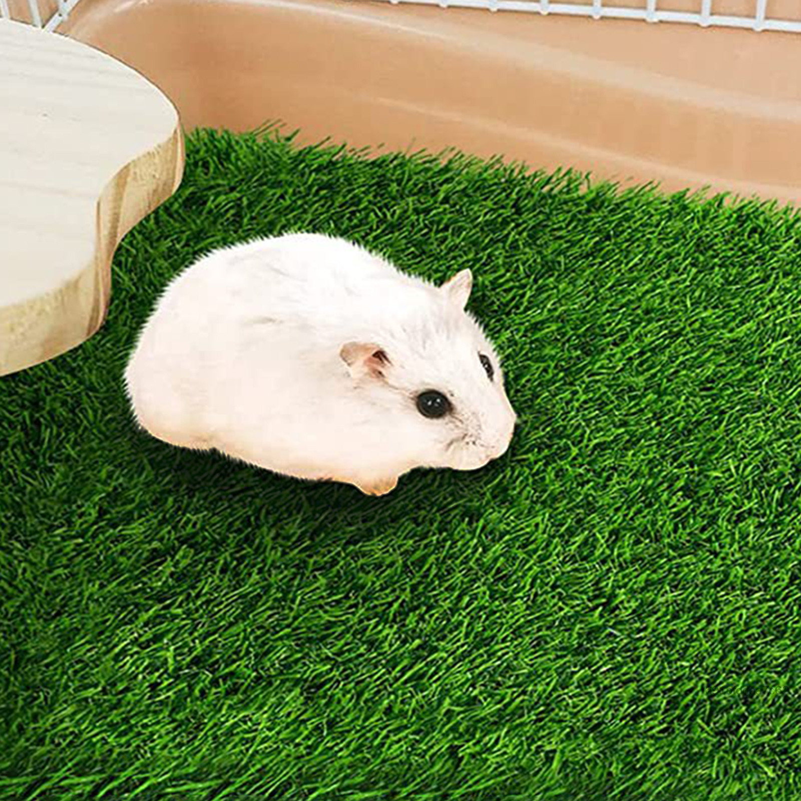 Lớp lót hộp làm tổ gà bảo vệ trứng khỏi các miếng đệm hiệu quả về chi phí phá vỡ phù hợp để đẻ trứng KEN-VN