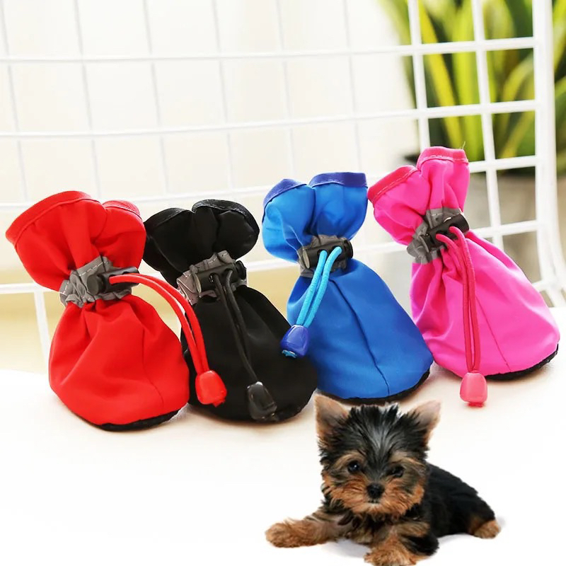 Anjing Mini Pom Dijual Jual Anjing Mini Pom Dijual Terbaru