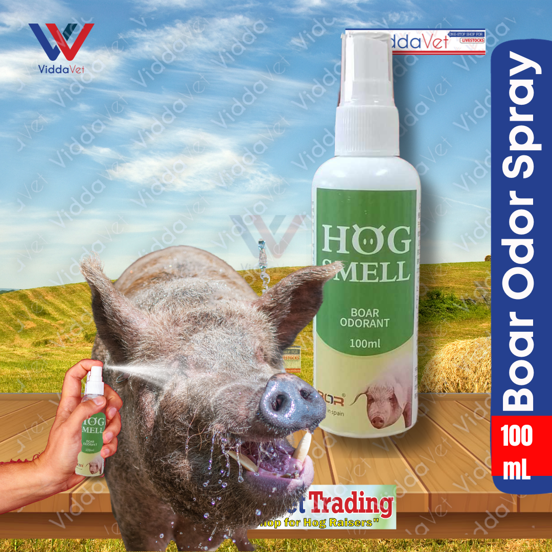 100 ml Hog Smell Boar odor S...