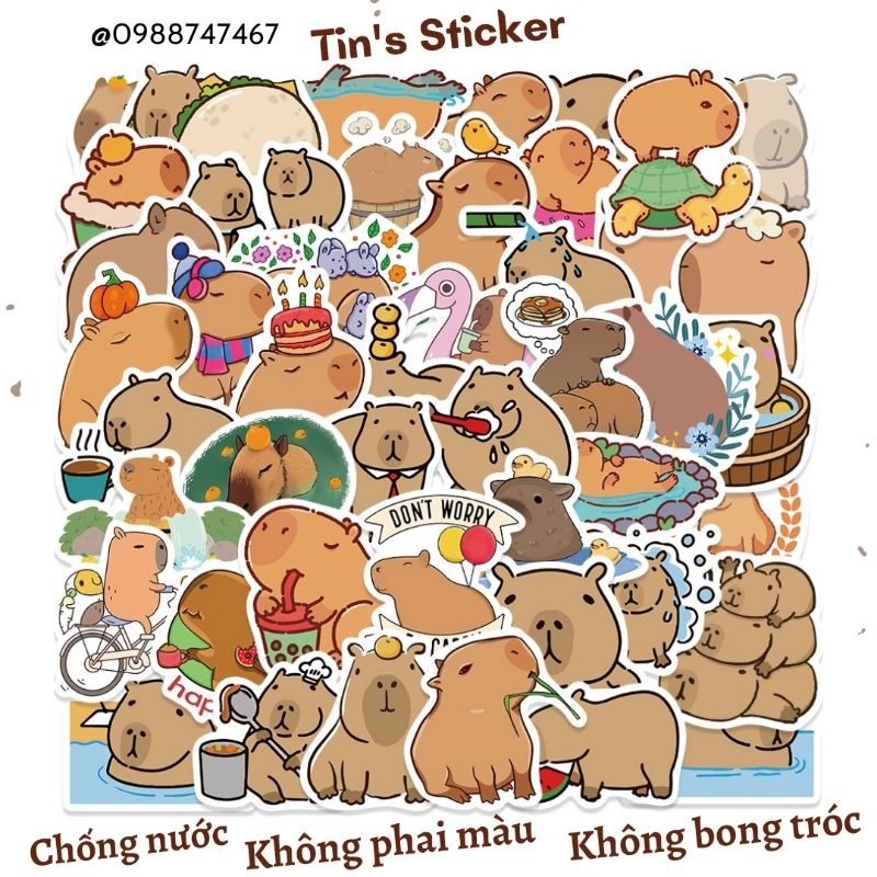 Set combo 10 30 50 miếng dán sticker Capybara dán nón mũ bảo hiểm laptop vali sổ tay đàn guitar điện thoại tủ lạnh xe máy