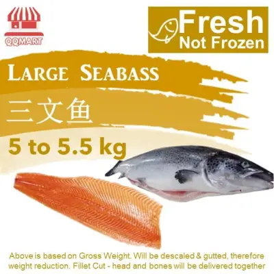 Fresh Whole Norwegian Salmon 5 to 5.5kg (Fillet Cut)