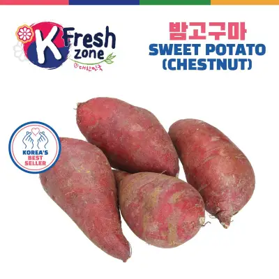 K-Fresh Korean Sweet Potato(Chestnut)