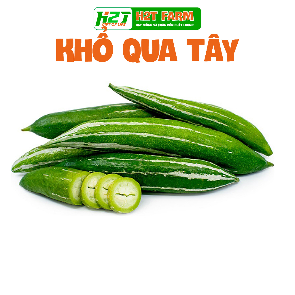 Hạt giống khổ qua tây sai trái - h2t farm
