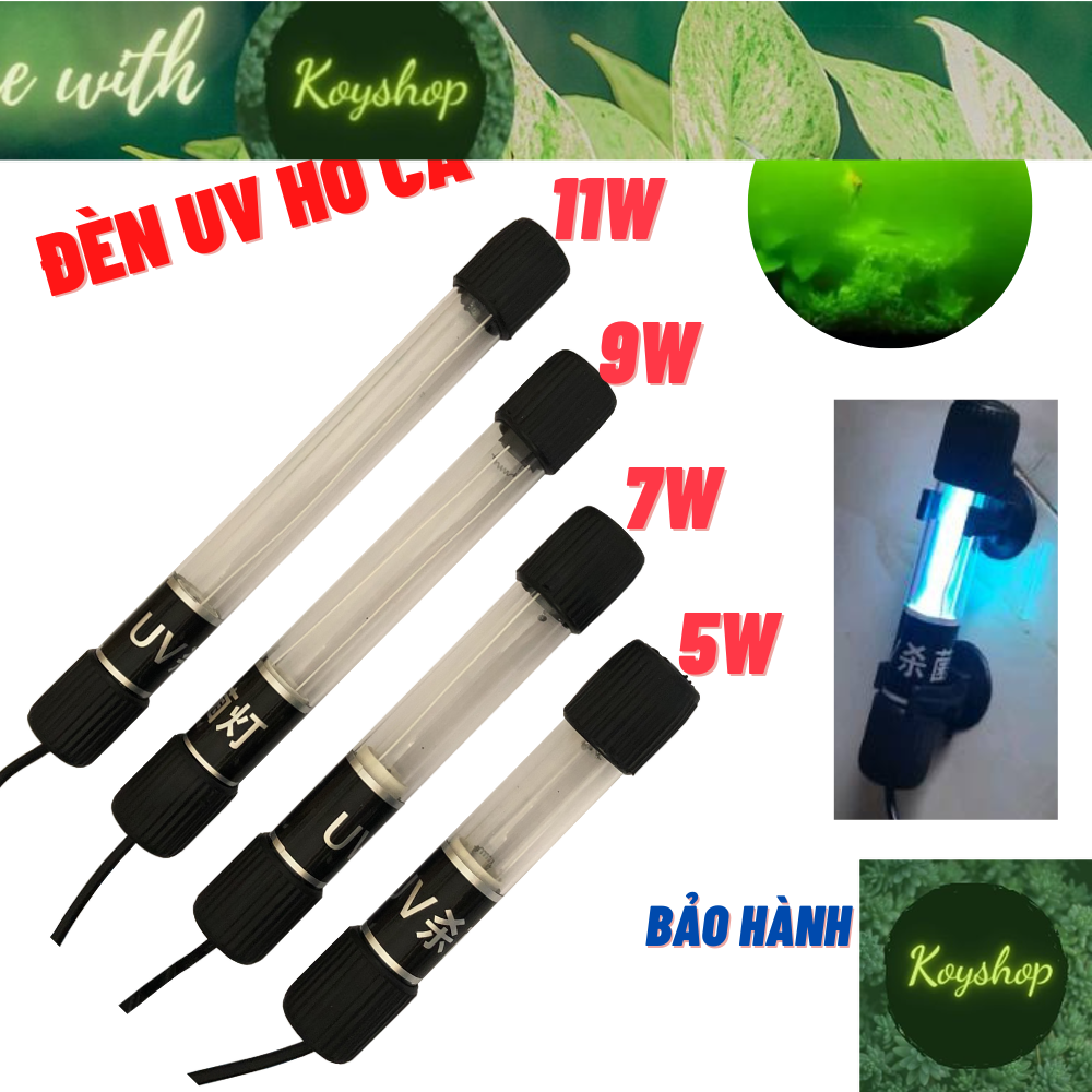 Đèn uv hồ cá diệt tảo khuẩn công suất 5w - 11w làm trong và sạch nước xml./kaokui/sterilization king/recent