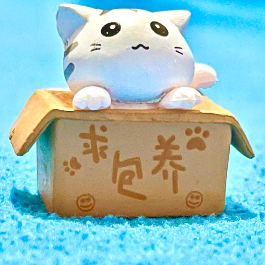 Mô hình mèo ngồi trong hộp dễ thương dùng để trang trí