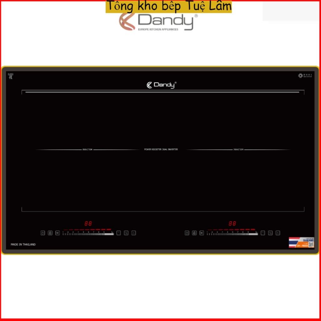 Bếp từ cao cấp DandyT5024