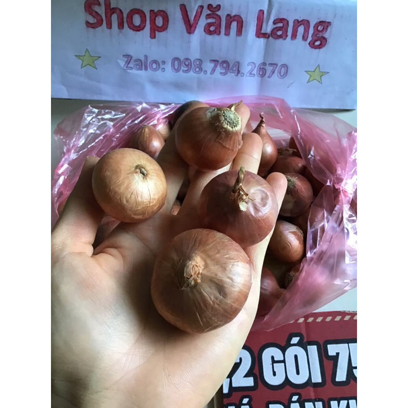 1 kg hành khô một nhánh - hành khô cô đơn thơm ngon