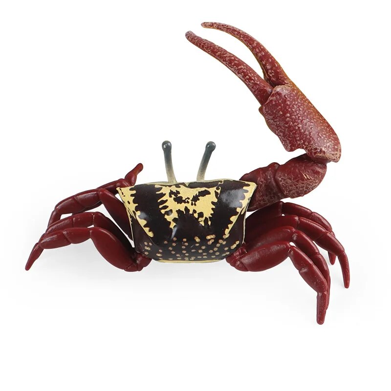 13 Types Sea Life Creature Figurines Marine Model Hermit Crab,King Crab,Swimming Crab Ocean Animal Figure For Animal Collection
