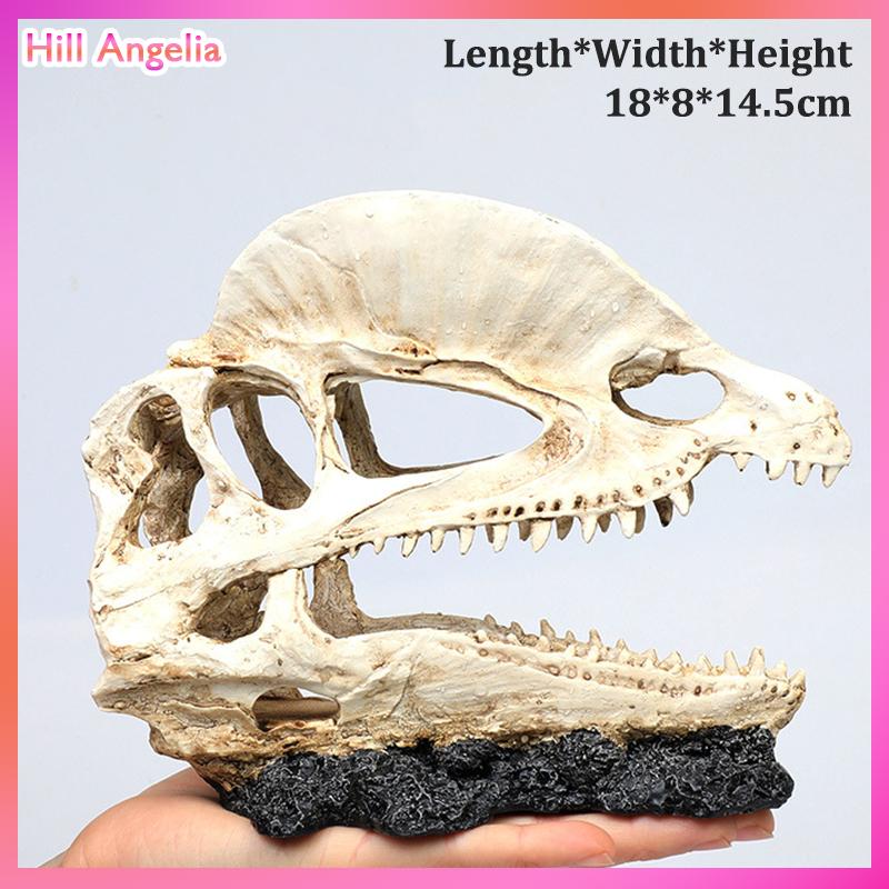 [Hill Angelia] Mô phỏng nhựa động vật hộp sọ trang trí tự làm bể cá bể cá phụ kiện trang trí sáng tạo hộp sọ cảnh quan bể cá trang trí - 2