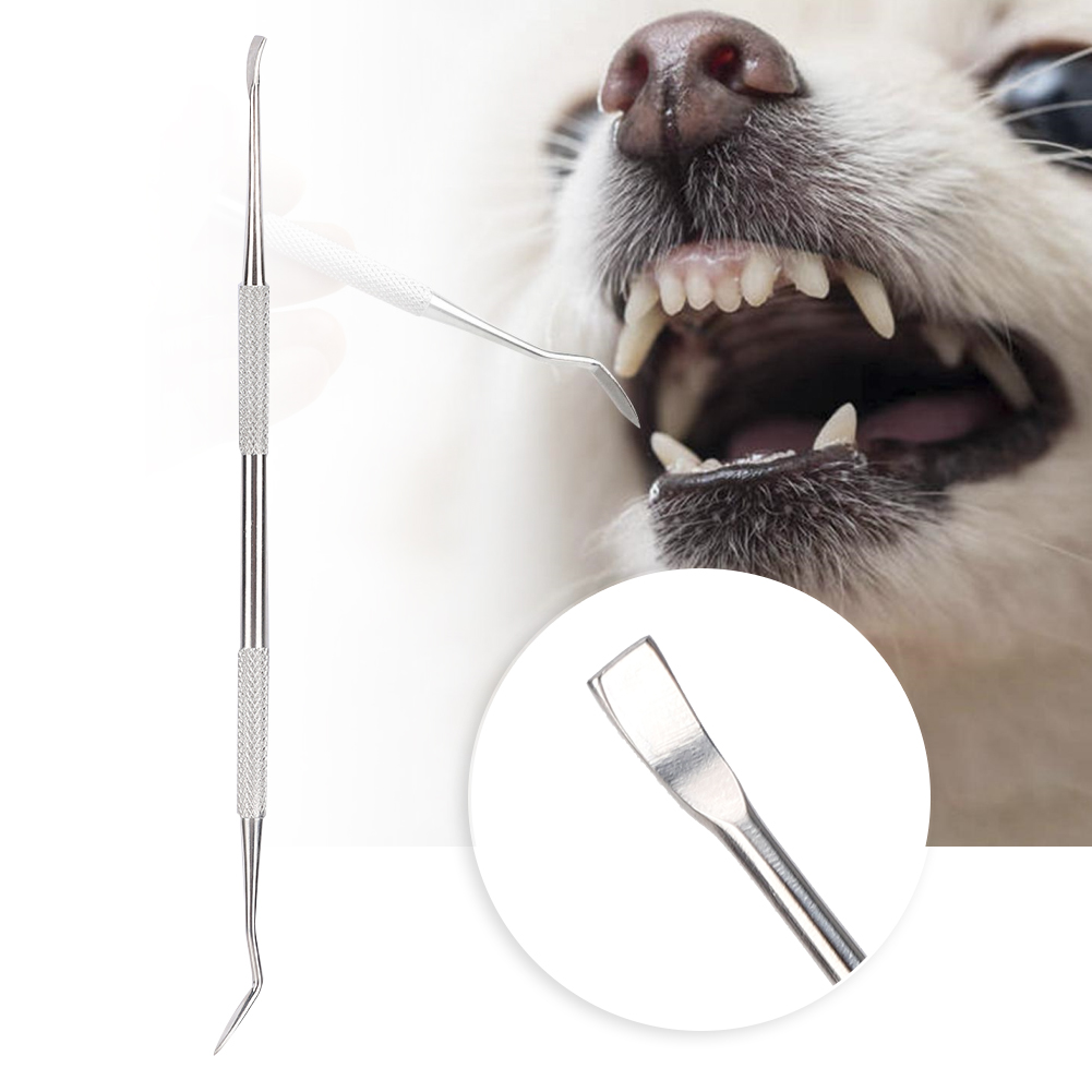 Răng thú cưng scraper PET làm sạch răng thép không gỉ PET làm sạch răng cho PET làm sạch Thú cưng công cụ Dog PET làm sạch răng miệng công cụ