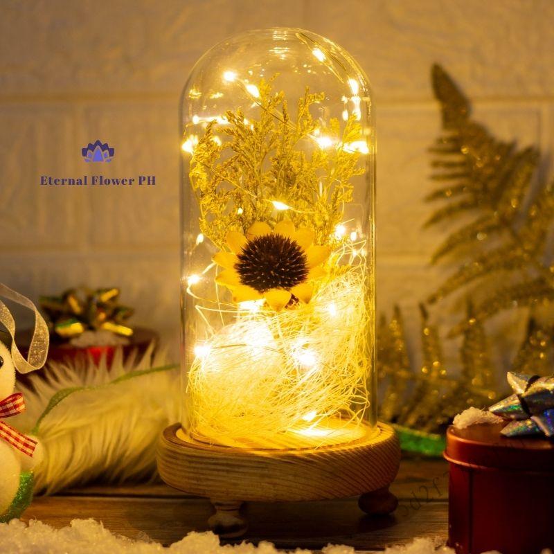 Vòm kính hướng dương nhân tạo - Hoa khô kỷ niệm ngày cưới Giáng sinh Valentine Quà tặng ngày của mẹ