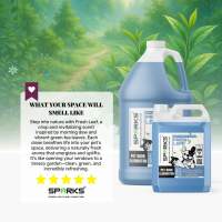 Sparks FRESH LEAF Pet Odor Eliminator 1L/1G – Vet Approved Dog Cat Urine Poop Odor Enzyme Cleaner