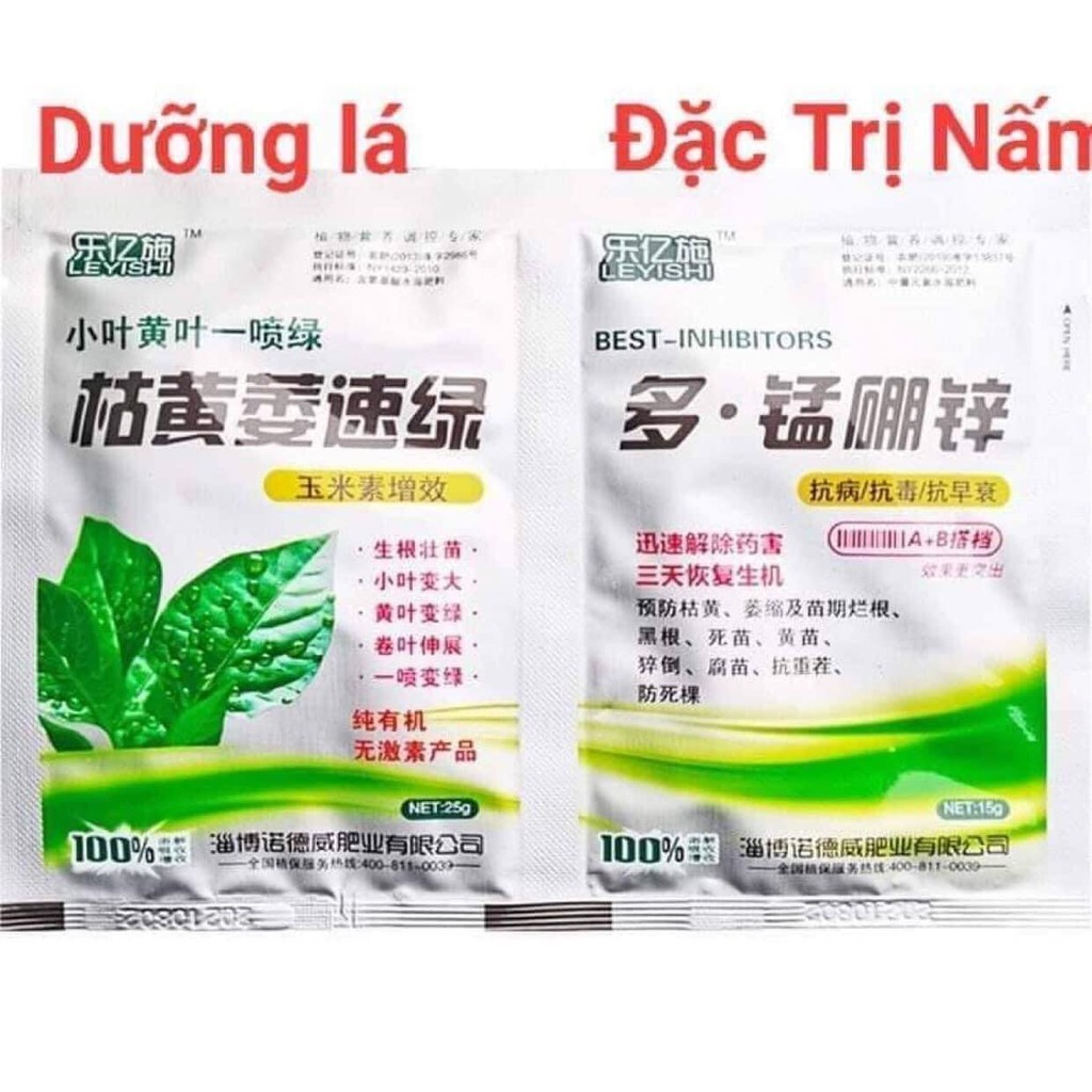 Cặp đôi giúp siêu mầm, siêu to mập,lá dày xanh mướt, đặc trừ nấm, thối nhũn hàng nội địa Trung Quốc