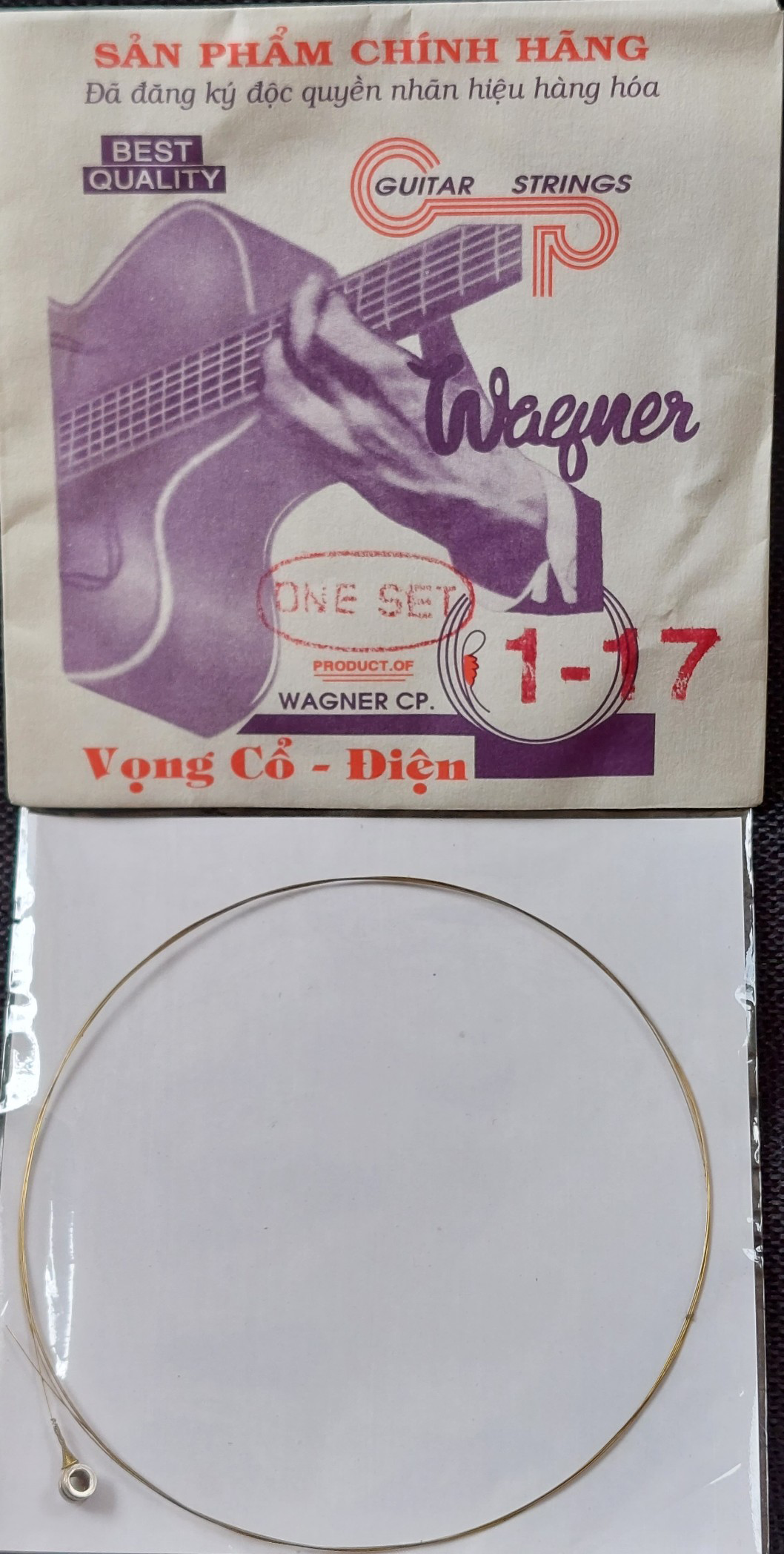 Hãng Dây Đàn Việt Nam