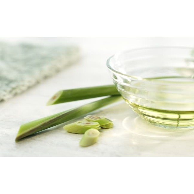 Thú cưng: Tinh dầu Sả chanh 100ml làm thơm cho thú cưng