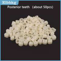 ❤❤❤Hot Sale Elbbkg 1 Bag Dental Temporary Crown Material For Anterior Molar Teeth Veneers Gum Protection And Stable