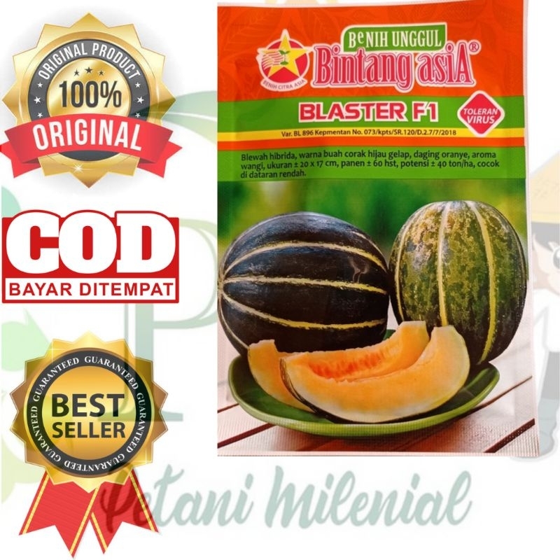 PROMO BENIH BIBIT BLEWAH BLASTER F1 15 GR BINTANG ASIA - Merek Bintang Asia Harga 170,000 rupiah*Gratis Ongkir