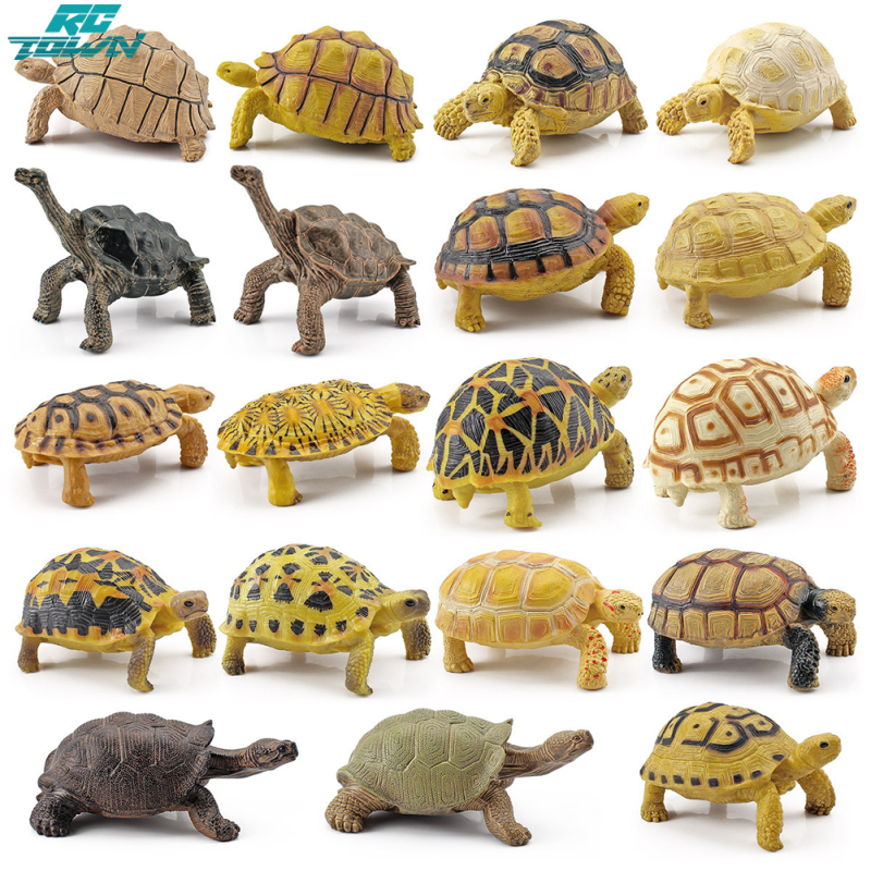 Realistic Turtle Action Figure Lifelike Amphibian Reptile Model Ornaments