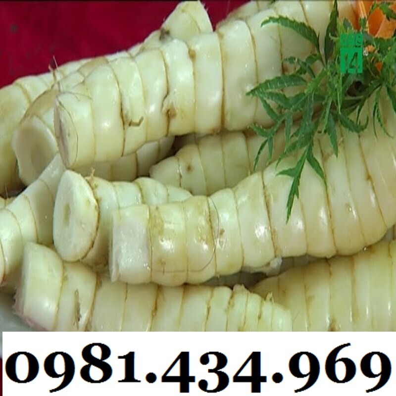 Củ bình tinh 01kg chuẩn chất