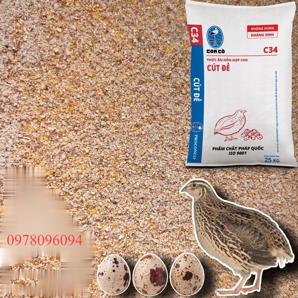  5KG CÁM CÒ C34 CHO CÚT ĐẺ CHIM CẢNH VÀ GIA CẦM GIA SÚC 