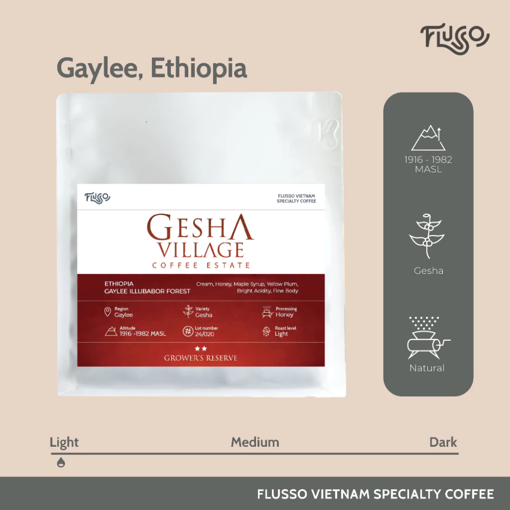 Cà phê Specialty Ethiopia Gesha Village Gaylee Illubabor Forest Honey