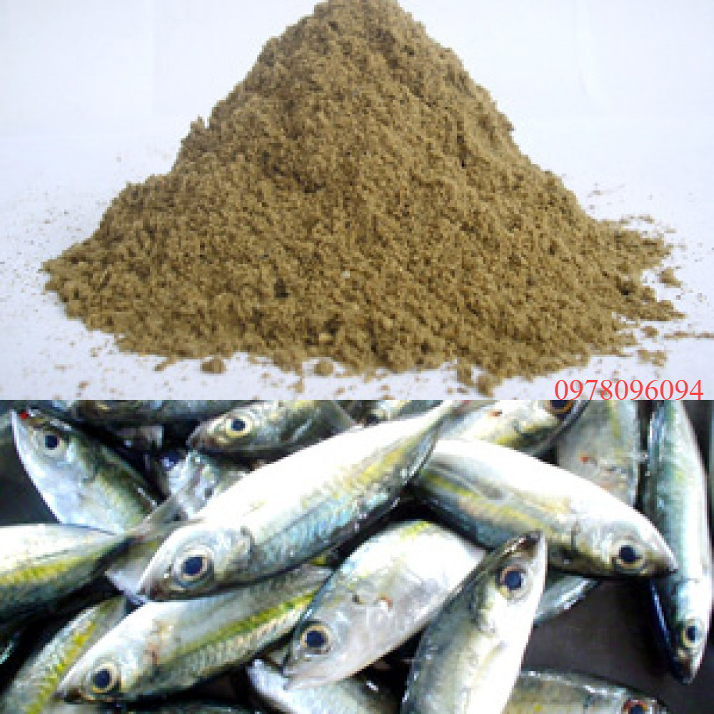 1kg bột cá thức ăn cho gà đẻ bột cá xay làm mồi câu cá bột cá tanh làm thức ăn cho gà cá bột cá mồi câu cá mồi chìm câu cá tra