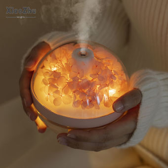 Xiaozhubangchu sáng tạo tự làm bất tử hoa tạo độ ẩm, Nhà Phòng Ngủ cạnh giường ngủ Đèn thân xe thiết bị hydrat hóa, độ ẩm