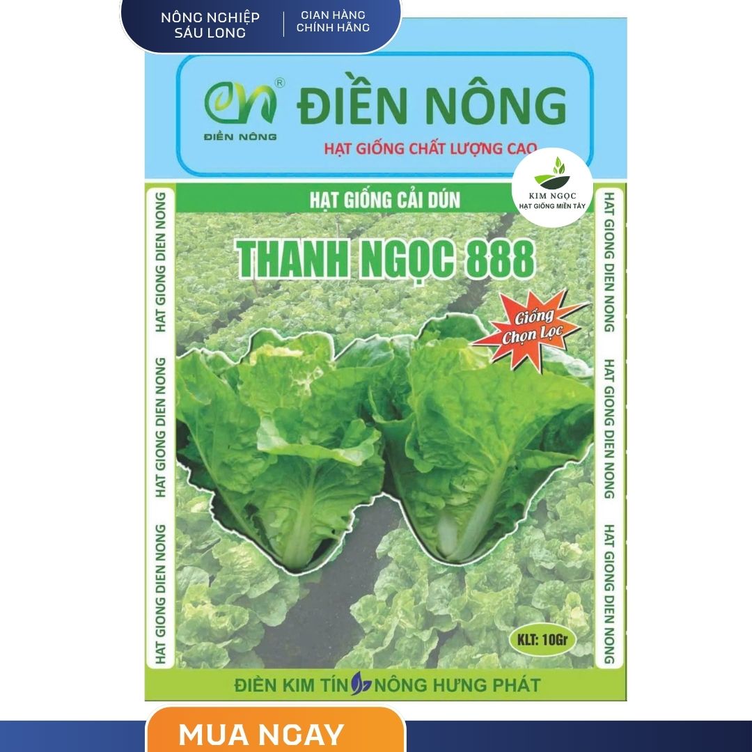 Hạt Giống Cải Bẹ Dún Thanh Ngọc 888 Điền Nông (Gói 50gram) - Giống Chọn Lọc F1