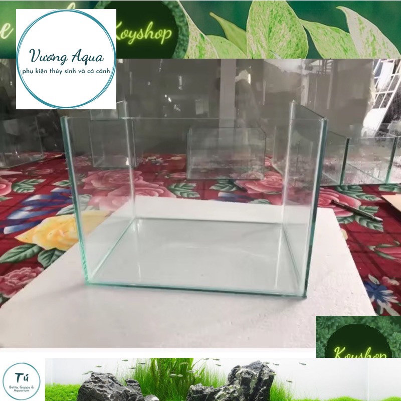 VươngAqua- ((Giao hàng toàn quốc)) bể cá 40x30x30 kính 4li - dán giấu keo, mài cạnh siêu đẹp.