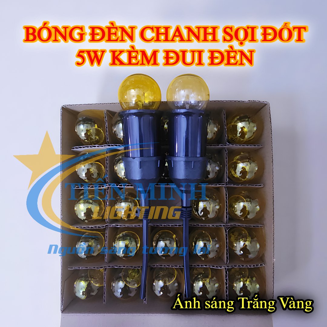 COMBO GIÁ RẺ BÓNG CHANH SỢI ĐỐT VÀNG & TRẮNG KÈM ĐUI ĐÈN KÍN NƯỚC