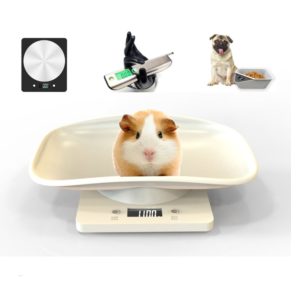 20kg Weight Animal Pet Clinic Cats Dogs Scale Weighing Digital Pet Scale -  China Pet Scale, Kitchen Scale