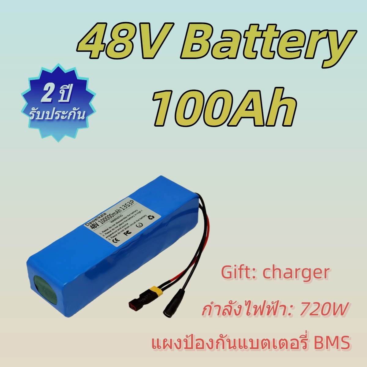 แบตเตอรี่ลิเธียม 48V 48Ah 100Ah แบตเตอรี่ e-bike พร้อมที่ชาร์จ