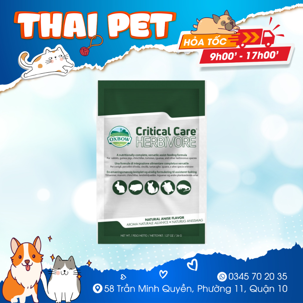 Oxbow Critical Care - thức ăn phục hồi khần cấp cho Thỏ - Bọ - Rùa - Bò Sát