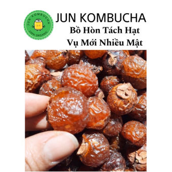 Bồ hòn tách hạt 1kg (vụ mới,loại nhiều mật)( có video Va hướng dẫn )