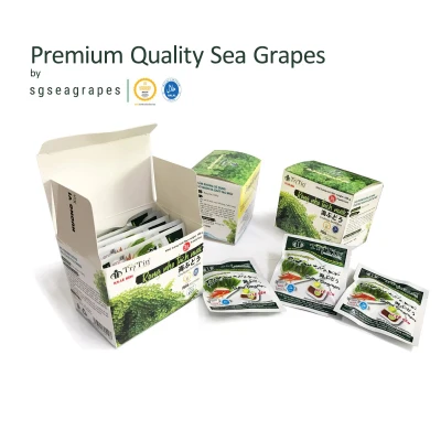 Premium Quality Original Sea Grapes Umibudo Latok Seagrapes