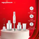 Máy xay sinh tố cầm tay Philips HR2537/00
