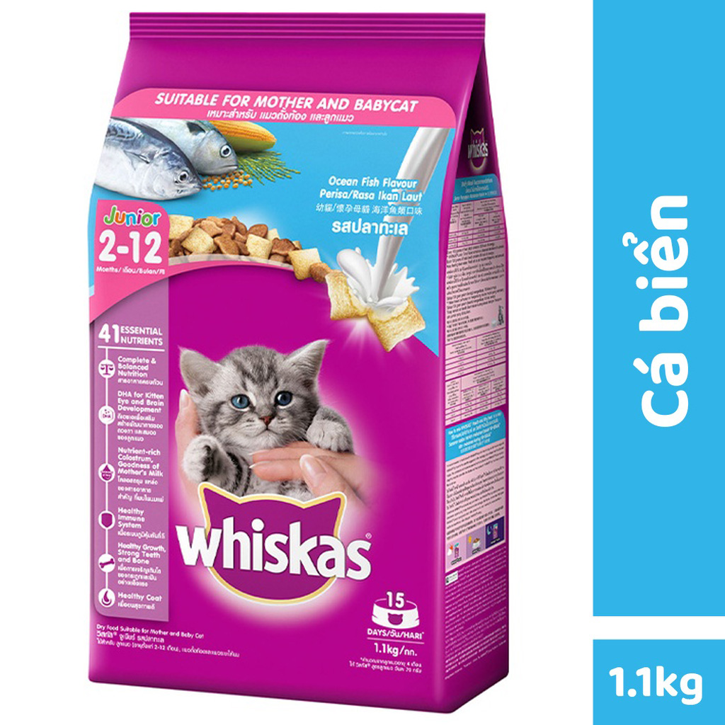 Thức ăn mèo con Whiskas 1,1kg