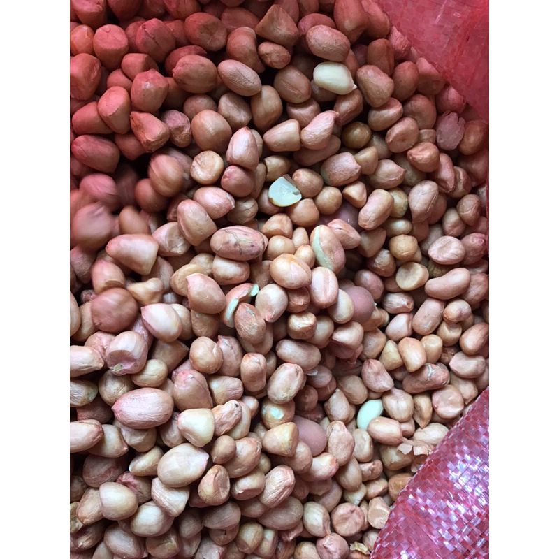 1Kg Lạc trắng hạt to đều - lạc trắng thơm ngon bùi - có giá sỉ