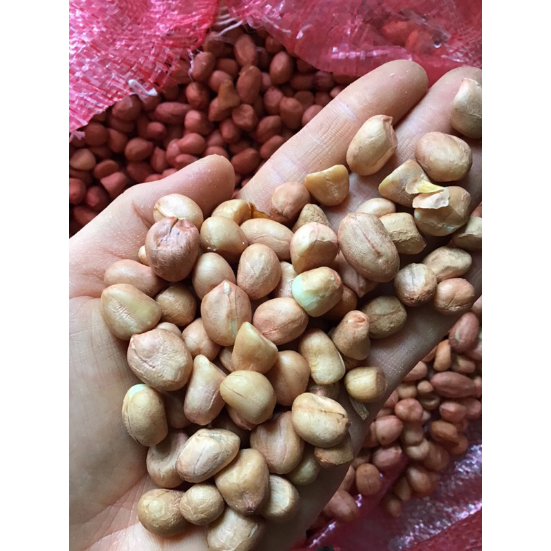 1Kg Lạc trắng hạt to đều - lạc trắng thơm ngon bùi