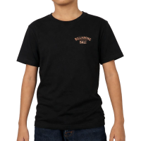 Billabong Boys Bali Dreamy Place II Boys Black T-Shirt
