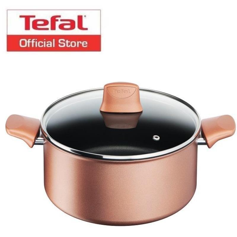 Tefal Chef’s Delight Copper Stewpot 24cm w/lid G11746 Singapore