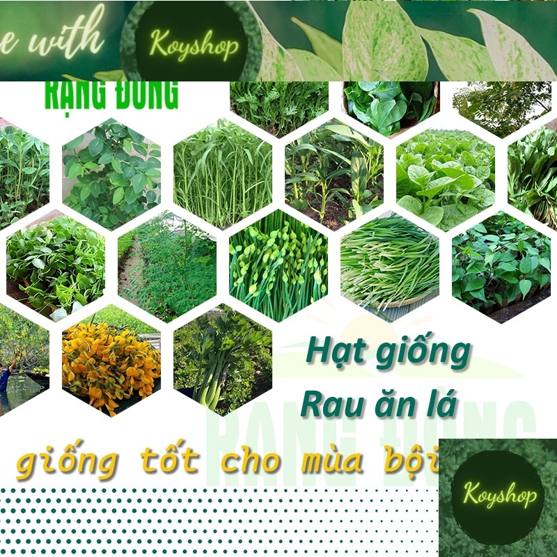 Hạt giống Rau Ăn Lá trồng quanh năm, nảy mầm tốt, dễ trồng, Hạt giống rau củ quả - Hạt giống Rạng Đông