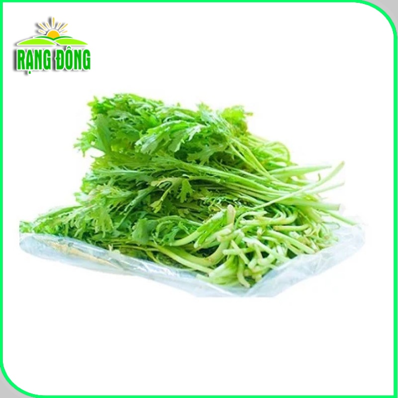Hạt giống Cải Đuôi Phụng dễ trồng, nhanh thu hoạch, Hạt giống rau củ quả - Hạt giống Rạng Đông