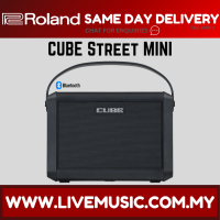 Roland Cube Street Mini Multi-Instrument Battery Amplifier